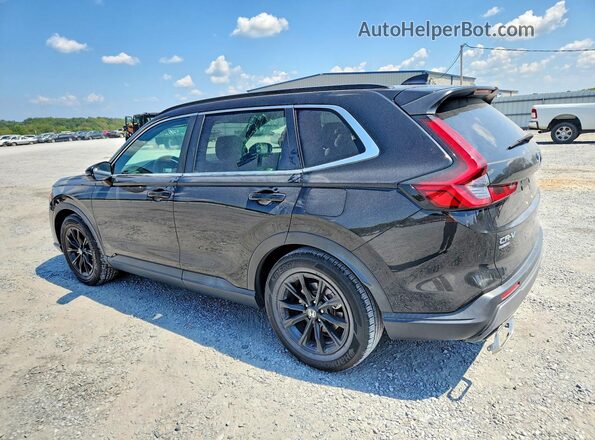 2HKRS5H54PH708067 2023 HONDA CR-V Black Հետևի ձախ