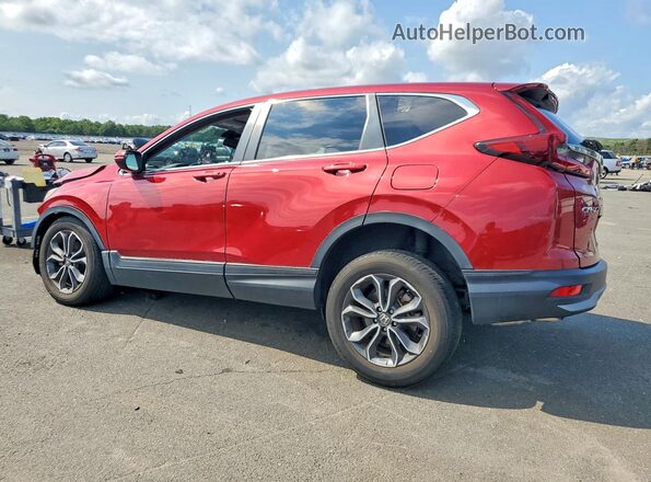 2HKRW2H80LH679349 2020 HONDA CR-V Red Задня ліва чверть