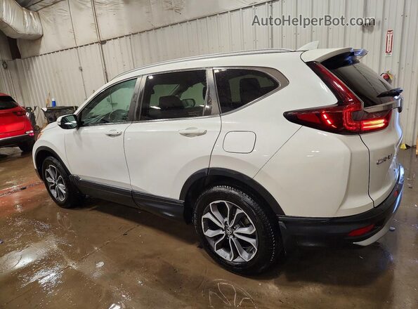2HKRW2H89NH205256 2022 HONDA CR-V Белый Задняя левая четверть