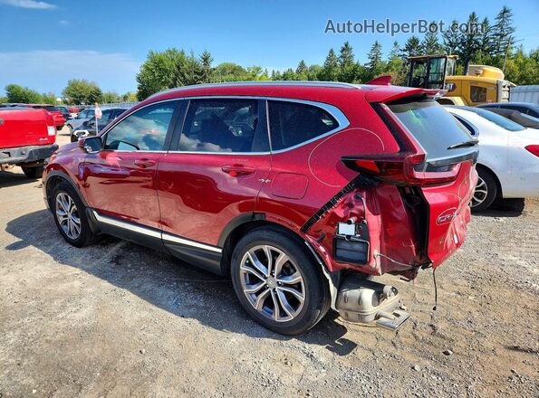 2HKRW2H99MH200288 2021 HONDA CR-V Red Հետևի ձախ