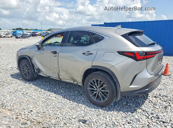 2T2ADCAZ9SC030108 2025 LEXUS NX Gray უკანა მარცხენა