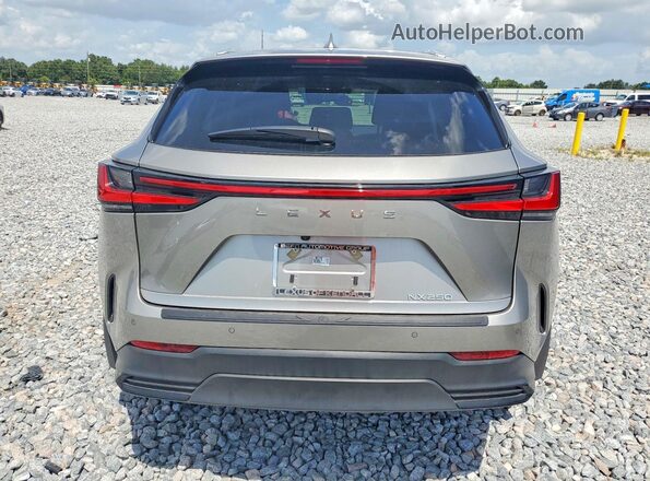 2T2ADCAZ9SC030108 2025 LEXUS NX Gray უკანა ხედი