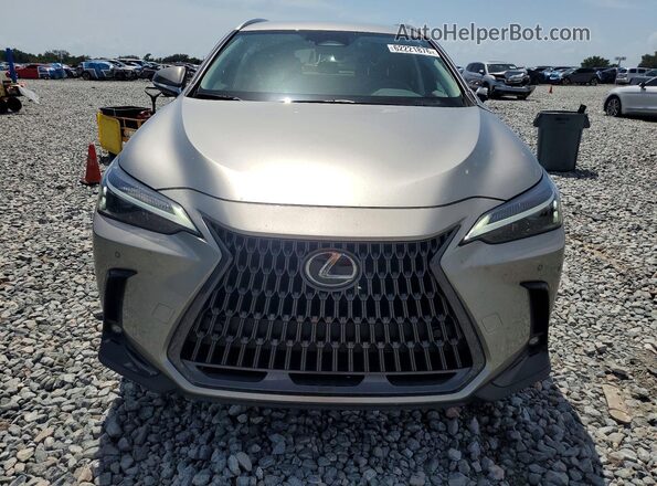 2T2ADCAZ9SC030108 2025 LEXUS NX Gray წინა ხედი