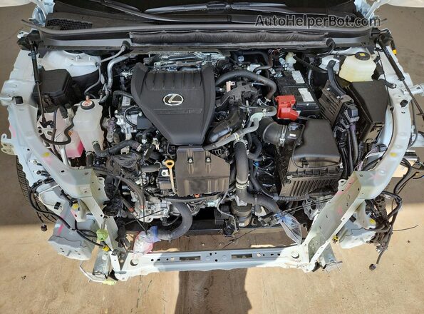 2T2BAMBA7TC079840 2026 LEXUS RX White Rear interior view