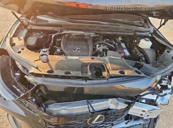 2T2BAMCA5SC094088 2025 LEXUS RX Black Vista interior trasera