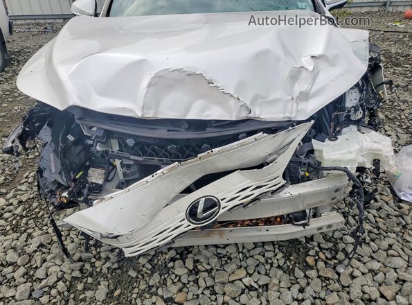 2T2BAMCA6PC019231 2023 LEXUS RX Белый Вид задней части салона