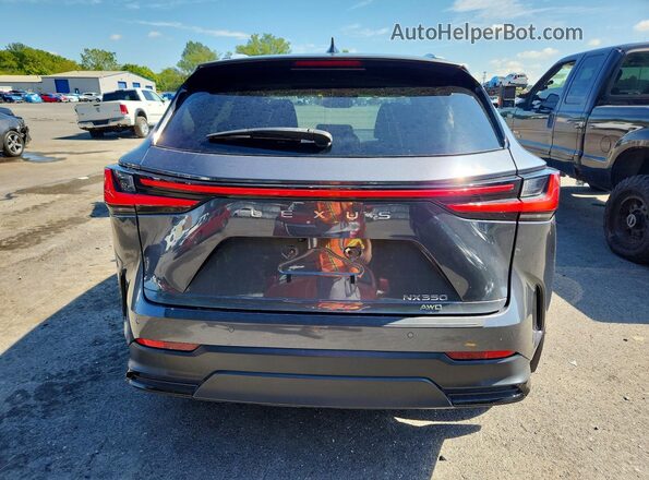 2T2GGCEZ3RC048108 2024 LEXUS NX Charcoal Вид ззаду