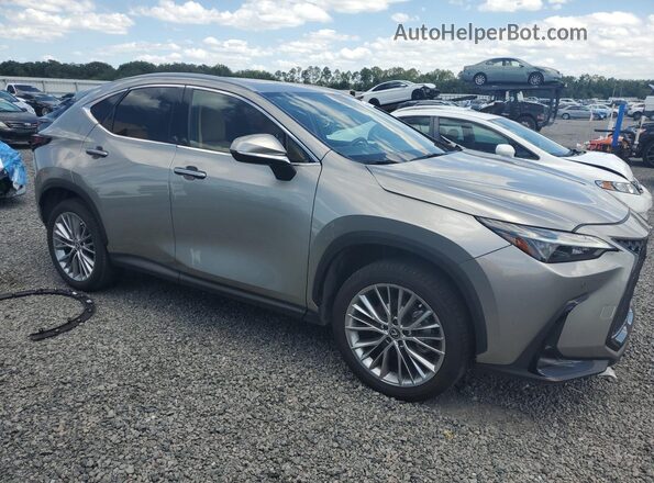 2T2GGCEZ9SC071043 2025 LEXUS NX Gray Передня права чверть