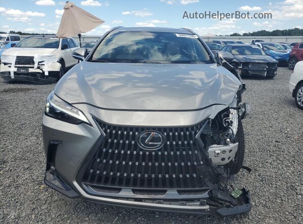 2T2GGCEZ9SC071043 2025 LEXUS NX Gray Вид спереду