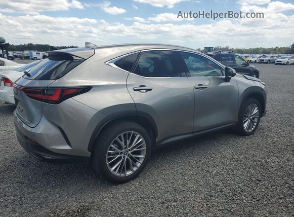 2T2GGCEZ9SC071043 2025 LEXUS NX Gray Задня права чверть