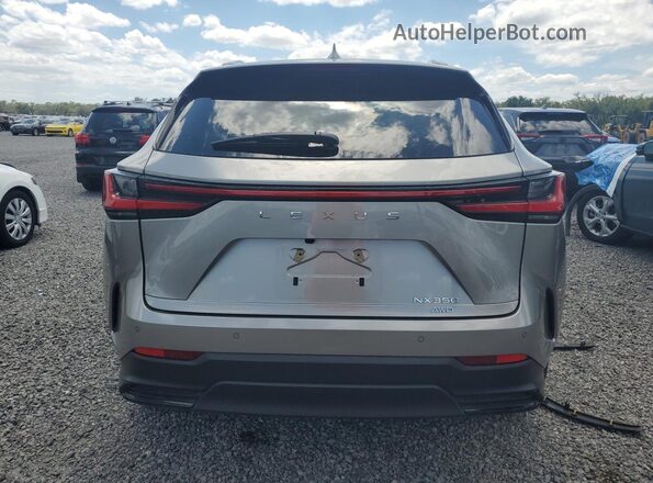 2T2GGCEZ9SC071043 2025 LEXUS NX Gray Вид ззаду