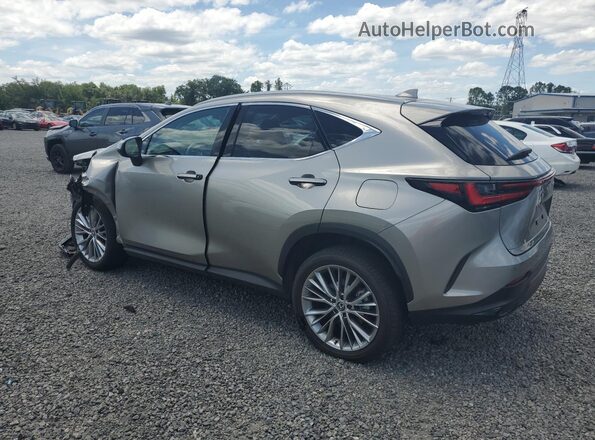 2T2GGCEZ9SC071043 2025 LEXUS NX Gray Задня ліва чверть