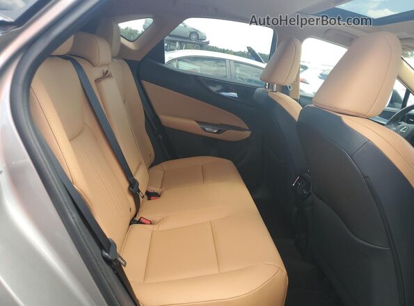 2T2GGCEZ9SC071043 2025 LEXUS NX Gray Вид задньої частини салону