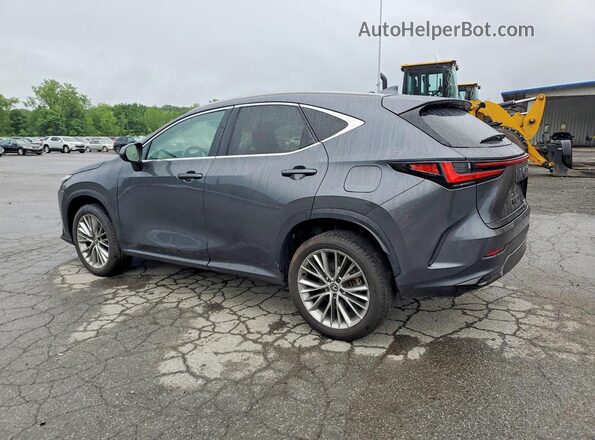 2T2GKCEZ2SC040182 2025 LEXUS NX Серый Задняя левая четверть
