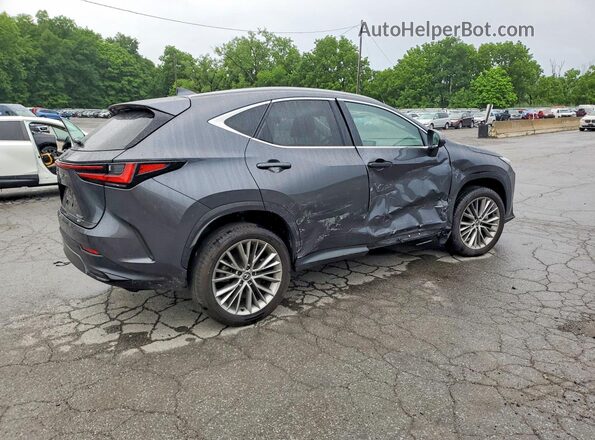 2T2GKCEZ2SC040182 2025 LEXUS NX Серый Задняя правая четверть