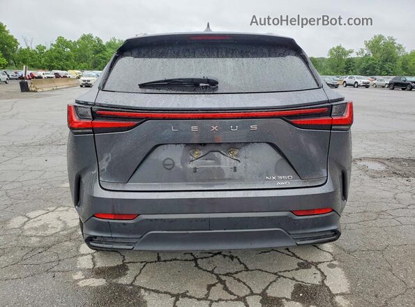 2T2GKCEZ2SC040182 2025 LEXUS NX Серый Вид сзади