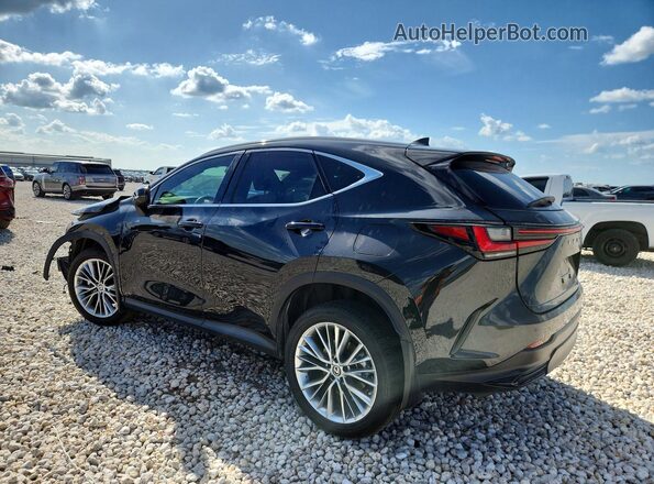 2T2GKCEZ5NC001994 2022 LEXUS NX Black Rear left