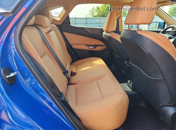 2T2HGCEZ2PC031012 2023 LEXUS NX Blue Սալոնի հետևի տեսք