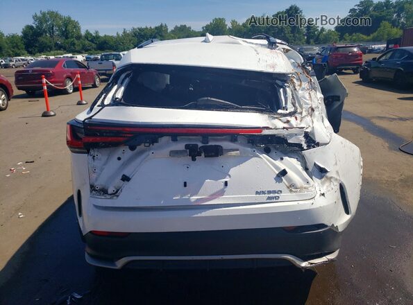 2T2KGCEZ2RC058512 2024 LEXUS NX White Вид ззаду