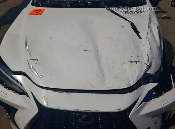 2T2KGCEZ2RC058512 2024 LEXUS NX White Вид задньої частини салону