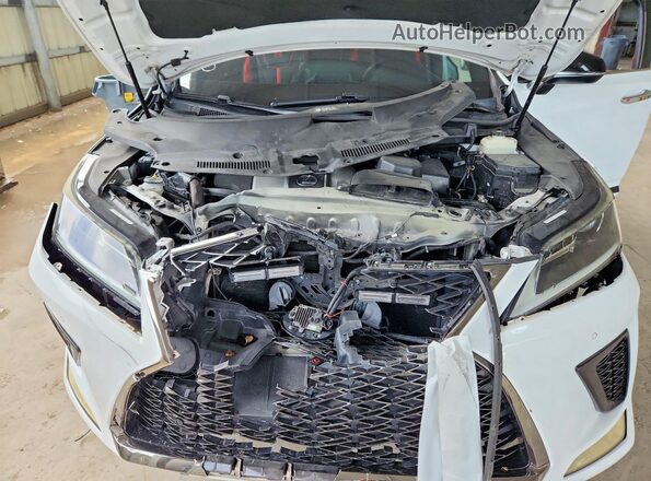 2T2SZMAA1LC180768 2020 LEXUS RX White Շարժիչի բաժամունքի տեսք