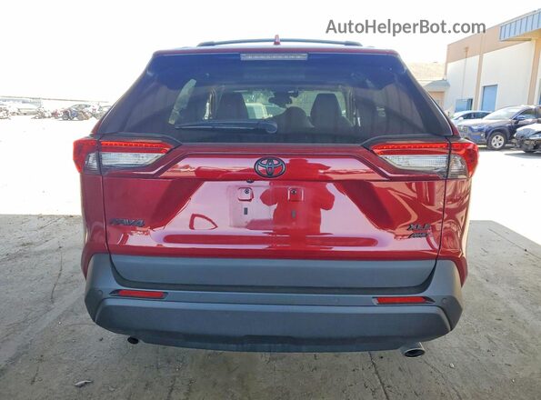 2T3A1RFV1PW367925 2023 TOYOTA RAV4 Burgundy Հետևի տեսք