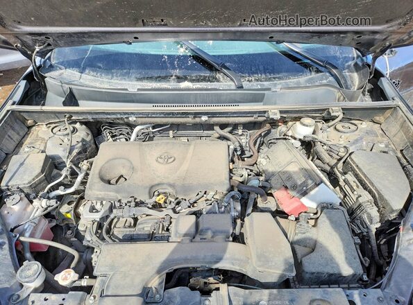 2T3B1RFV1RC399279 2024 TOYOTA RAV4 Gray Շարժիչի բաժամունքի տեսք