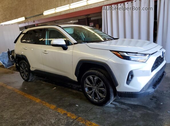2T3B6RFV6RW055723 2024 TOYOTA RAV4 White Передня права чверть
