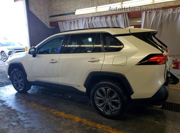 2T3B6RFV6RW055723 2024 TOYOTA RAV4 White Задня ліва чверть