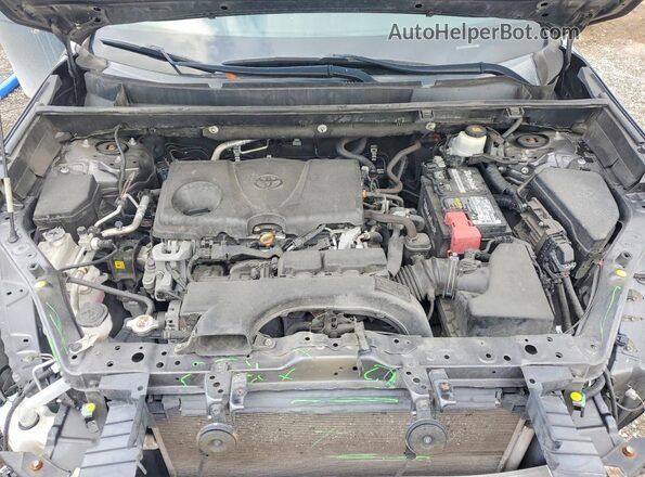 2T3C1RFV4LC082589 2020 TOYOTA RAV4 Gray უკანა სალონის ხედი
