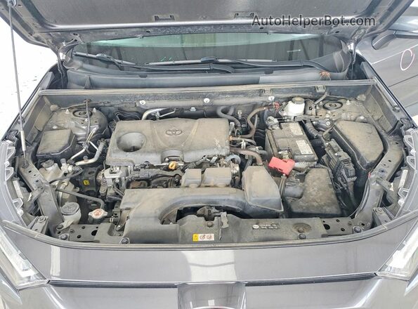 2T3C1RFV6NC182549 2022 TOYOTA RAV4 Серый Вид задней части салона