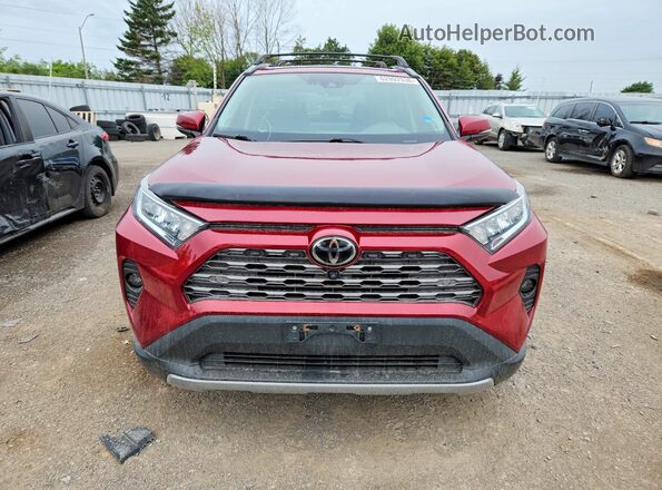 2T3D1RFV4MW174709 2021 TOYOTA RAV4 Maroon Widok z przodu