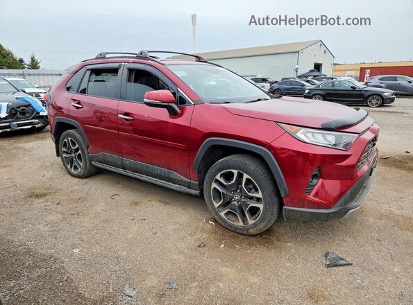 2T3D1RFV4MW174709 2021 TOYOTA RAV4 Maroon Przód prawy