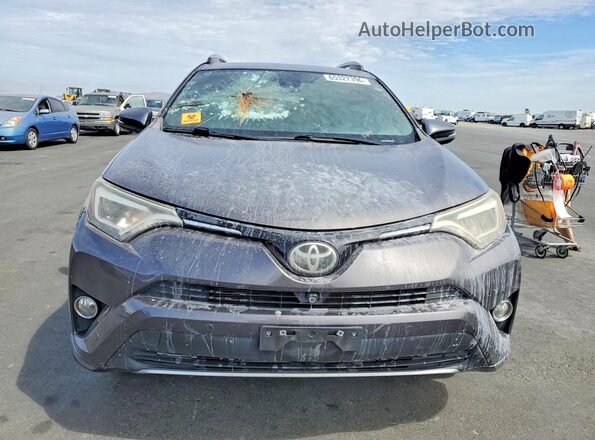 2T3DFREV5HW642391 2017 TOYOTA RAV4 Gray Вид спереду