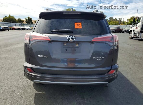 2T3DFREV5HW642391 2017 TOYOTA RAV4 Gray Вид ззаду