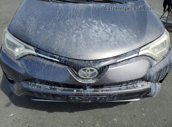 2T3DFREV5HW642391 2017 TOYOTA RAV4 Gray Вид задньої частини салону