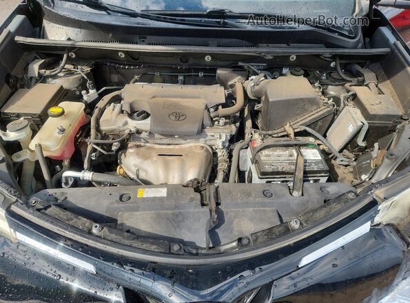 2T3DFREV8GW459954 2016 TOYOTA RAV4 Black Սալոնի հետևի տեսք