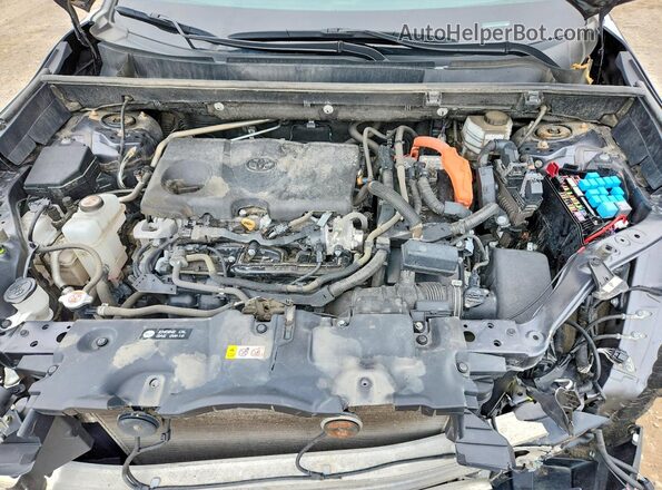 2T3DWRFV4PW176143 2023 TOYOTA RAV4 Gray Vista del compartimento del motor