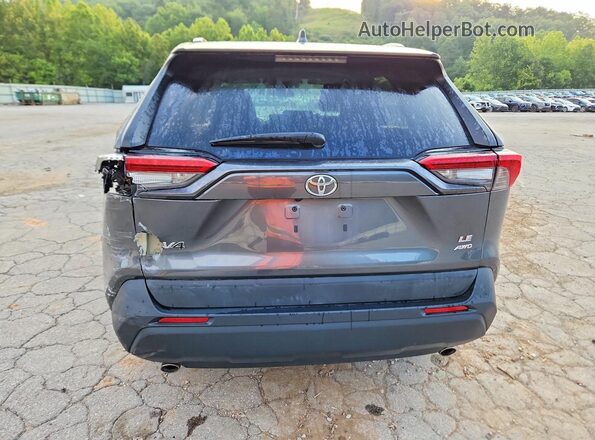 2T3F1RFV3LC076196 2020 TOYOTA RAV4 Gray Widok z tyłu