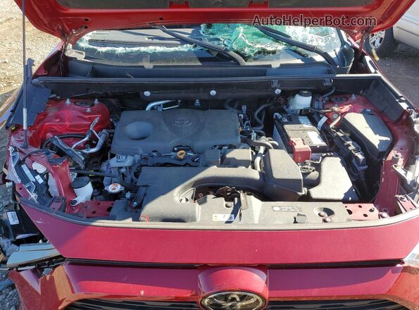 2T3F1RFV9RW491997 2024 TOYOTA RAV4 Red Սալոնի հետևի տեսք