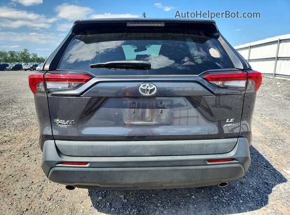 2T3G1RFV0LW121548 2020 TOYOTA RAV4 Gray Vista trasera