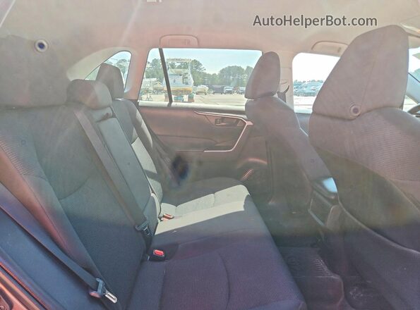 2T3G1RFV1LW126290 2020 TOYOTA RAV4 Серый Вид задней части салона
