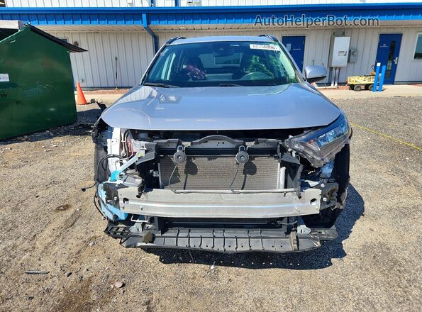 2T3G1RFV4KC004233 2019 TOYOTA RAV4 Silver Դիմացի տեսք