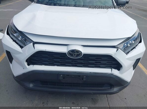 2T3H1RFV0LW087177 2020 TOYOTA RAV4 Белый Вид задней части салона