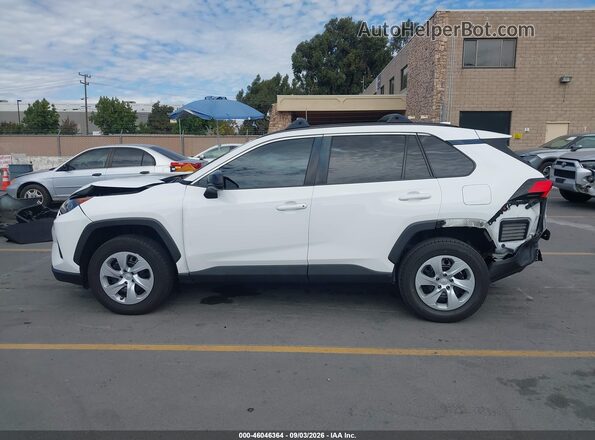 2T3H1RFV0LW087177 2020 TOYOTA RAV4 Белый 