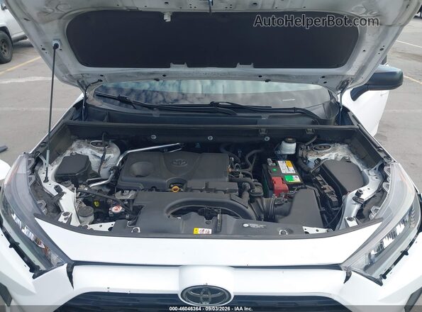 2T3H1RFV0LW087177 2020 TOYOTA RAV4 Белый Вид сзади
