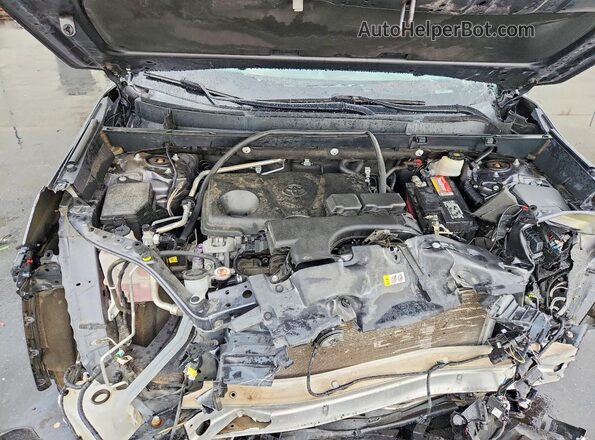 2T3H1RFV8LC085520 2020 TOYOTA RAV4 Charcoal Սալոնի հետևի տեսք