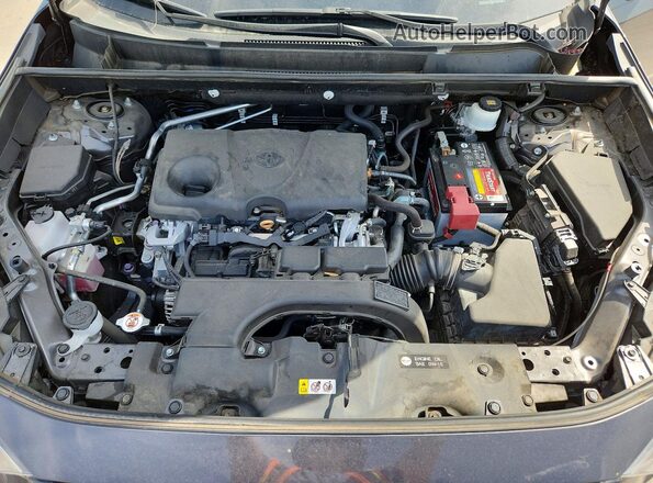 2T3H1RFV8LW075441 2020 TOYOTA RAV4 Gray უკანა სალონის ხედი