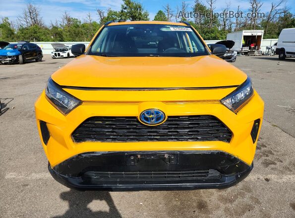 2T3LWRFV0KW001280 2019 TOYOTA RAV4 Yellow Rear view