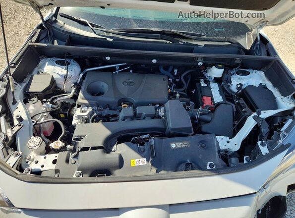 2T3N1RFV1PW407079 2023 TOYOTA RAV4 White Սալոնի հետևի տեսք